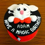 Adam's 6th Birthday