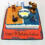 Callum's 5th Birthday